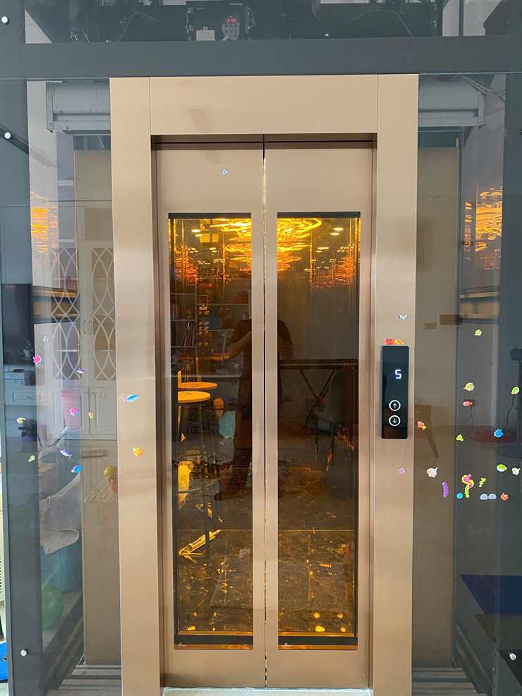 Cửa cabin thang máy Delta inox mạ vàng — công trình lắp đặt thực tế