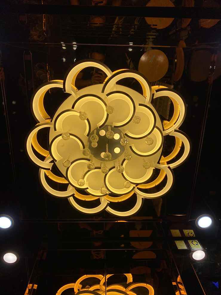 Đèn LED trần cabin thang máy Delta hoa văn cánh hoa